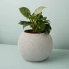 Atallo Cement Planter^Be Home Flash Sale