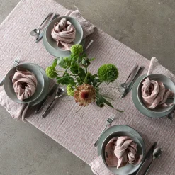 Brittany Napkin, Brick and Natural, Set of 4^Be Home New