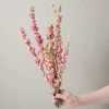Bunch of Pink Larkspur^Be Home Store
