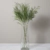 Bunch of Tree Fern^Be Home Outlet
