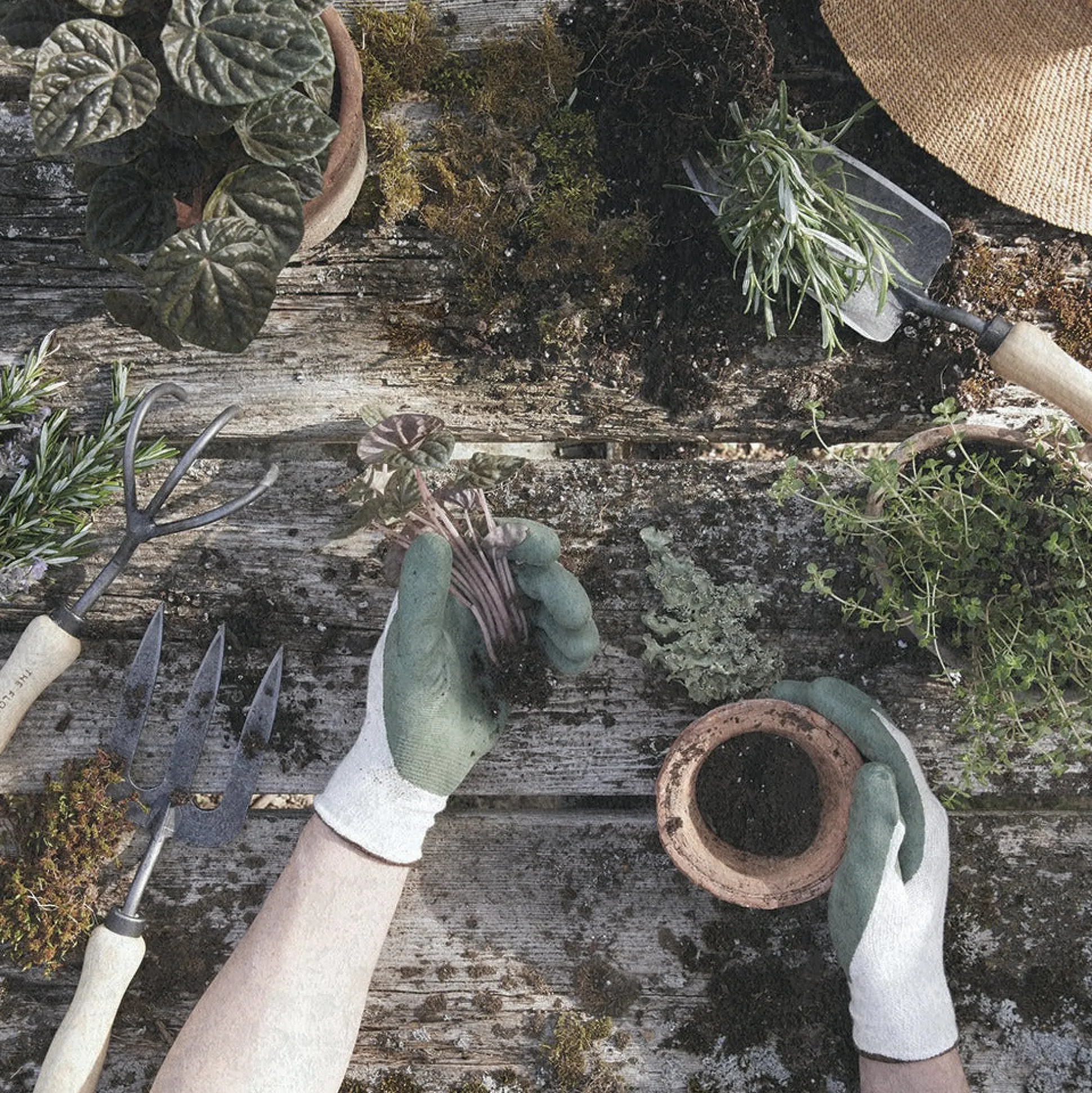 Forged Fork^Be Home Cheap