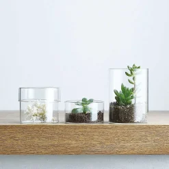 Glass Canister, Large