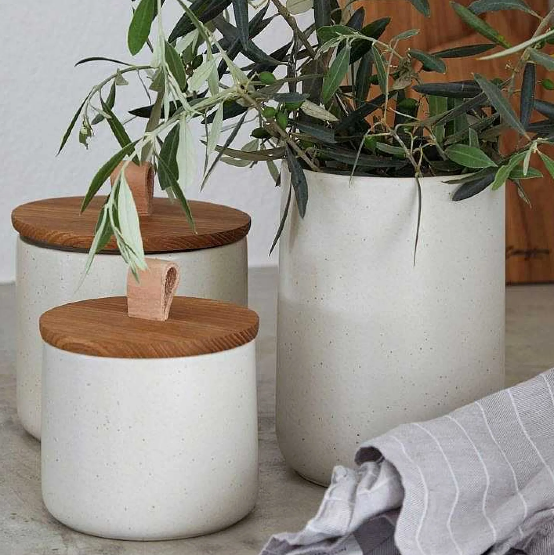 Pacifica Canister with Oak Wood Lid, Vanilla, Medium