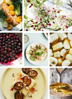 Pulp: A Practical Guide to Cooking with Fruit by Abra Berens^Be Home Fashion