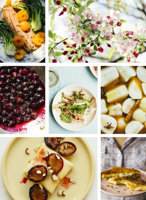 Pulp: A Practical Guide to Cooking with Fruit by Abra Berens^Be Home Fashion